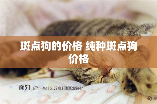 斑點狗的價格 純種斑點狗價格