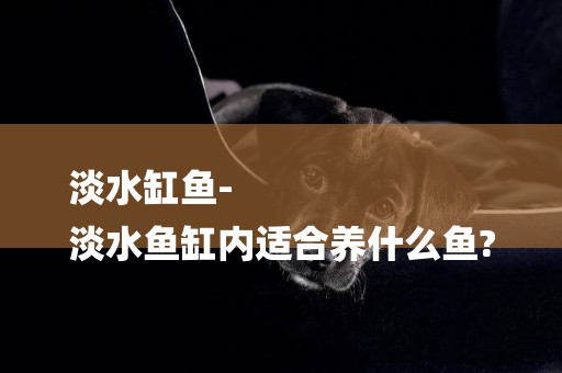 淡水缸魚-
淡水魚缸內適合養什么魚?