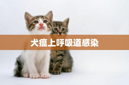 犬瘟上呼吸道感染