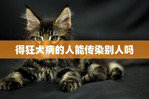 得狂犬病的人能傳染別人嗎