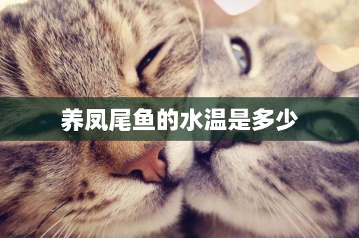 養鳳尾魚的水溫是多少