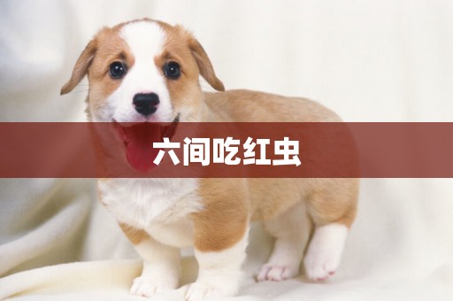 六間吃紅蟲