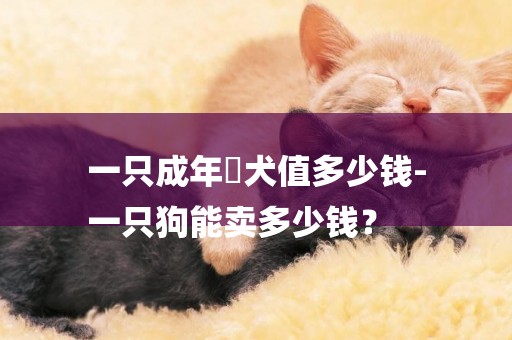 一只成年獚犬值多少錢-
一只狗能賣多少錢？