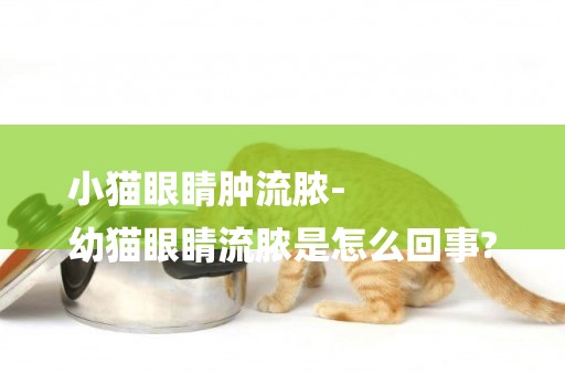 小貓眼睛腫流膿-
幼貓眼睛流膿是怎么回事?