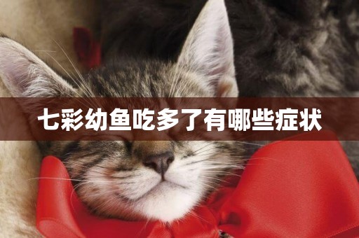 七彩幼魚吃多了有哪些癥狀