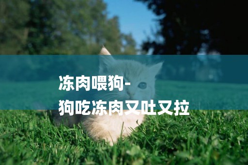 凍肉喂狗-
狗吃凍肉又吐又拉