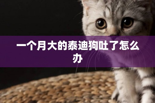 一個月大的泰迪狗吐了怎么辦