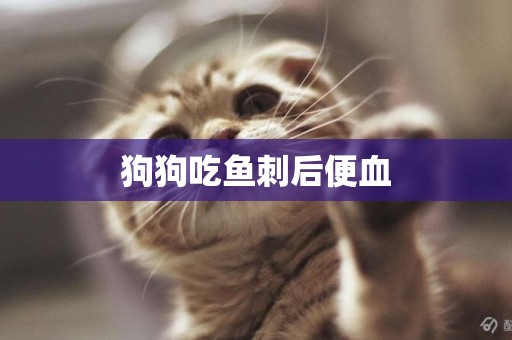 狗狗吃魚刺后便血
