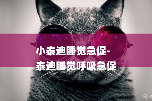 小泰迪睡覺急促-
泰迪睡覺呼吸急促