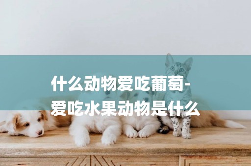 什么動物愛吃葡萄-
愛吃水果動物是什么