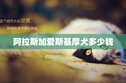 阿拉斯加愛斯基摩犬多少錢