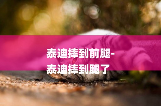泰迪摔到前腿-
泰迪摔到腿了