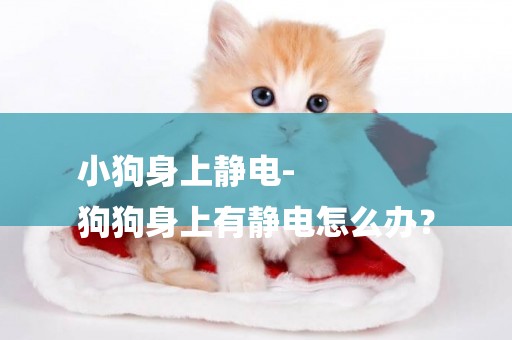 小狗身上靜電-
狗狗身上有靜電怎么辦？
