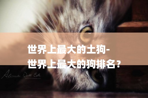 世界上最大的土狗-
世界上最大的狗排名？
