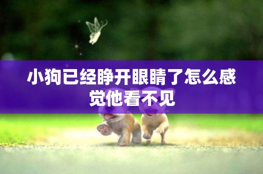 小狗已經睜開眼睛了怎么感覺他看不見