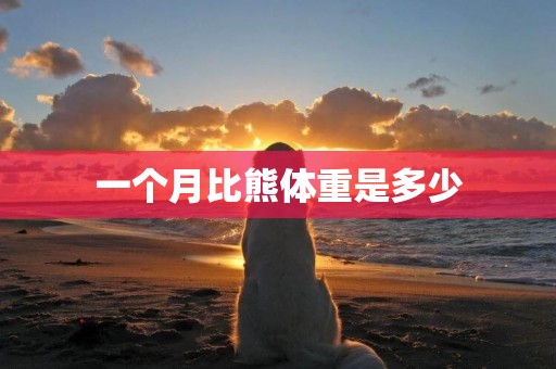 一個月比熊體重是多少