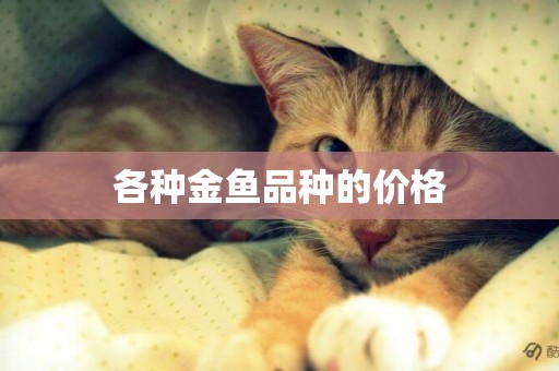 各種金魚品種的價格