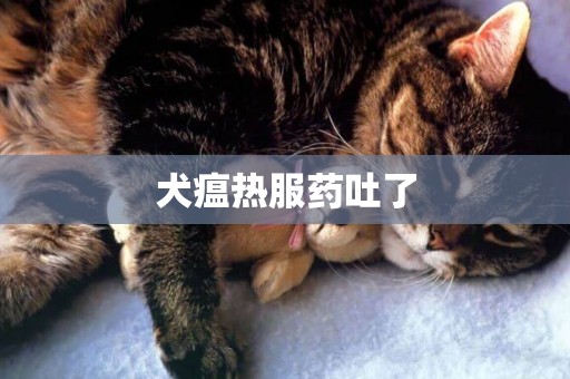 犬瘟熱服藥吐了