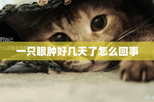 一只眼腫好幾天了怎么回事