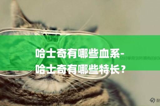 哈士奇有哪些血系-
哈士奇有哪些特長？