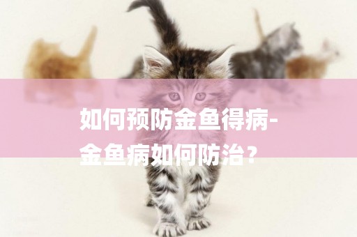 如何預防金魚得病-
金魚病如何防治？