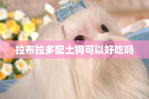 拉布拉多配土狗可以好吃嗎