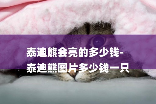 泰迪熊會亮的多少錢-
泰迪熊圖片多少錢一只