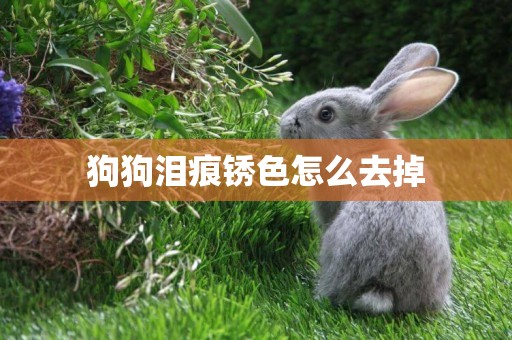 狗狗淚痕銹色怎么去掉
