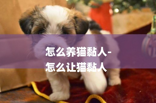 怎么養貓黏人-
怎么讓貓黏人
