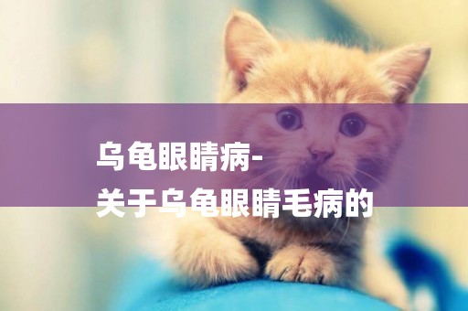 烏龜眼睛病-
關于烏龜眼睛毛病的