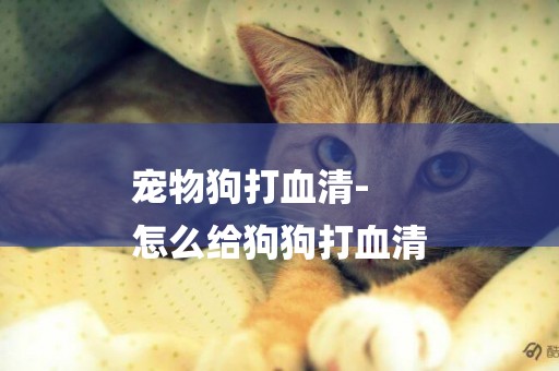 寵物狗打血清-
怎么給狗狗打血清