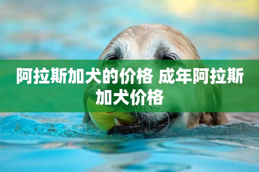 阿拉斯加犬的價格 成年阿拉斯加犬價格