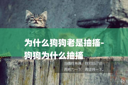 為什么狗狗老是抽搐-
狗狗為什么抽搐