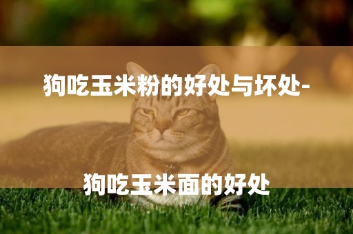 狗吃玉米粉的好處與壞處-
狗吃玉米面的好處