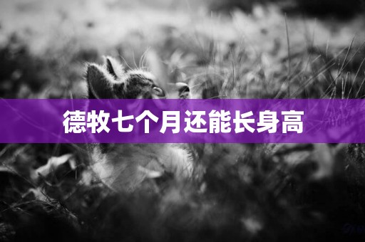 德牧七個月還能長身高