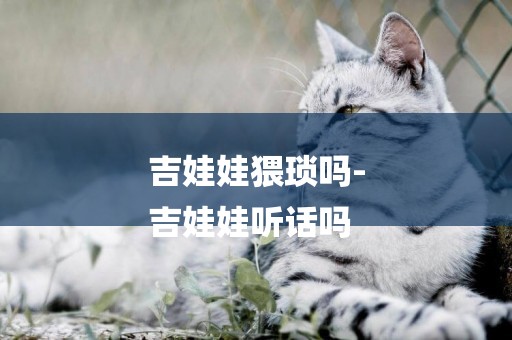 吉娃娃猥瑣嗎-
吉娃娃聽話嗎