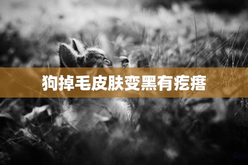 狗掉毛皮膚變黑有疙瘩