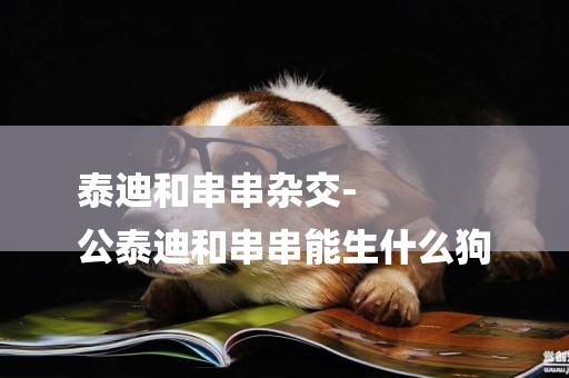 泰迪和串串雜交-
公泰迪和串串能生什么狗