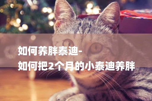 如何養胖泰迪-
如何把2個月的小泰迪養胖