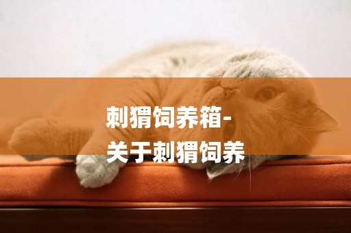 刺猬飼養箱-
關于刺猬飼養