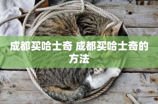 成都買哈士奇 成都買哈士奇的方法