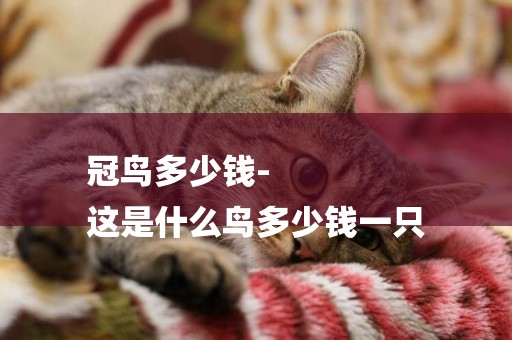 冠鳥多少錢-
這是什么鳥多少錢一只