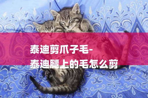 泰迪剪爪子毛-
泰迪腿上的毛怎么剪