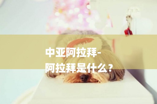 中亞阿拉拜-
阿拉拜是什么？