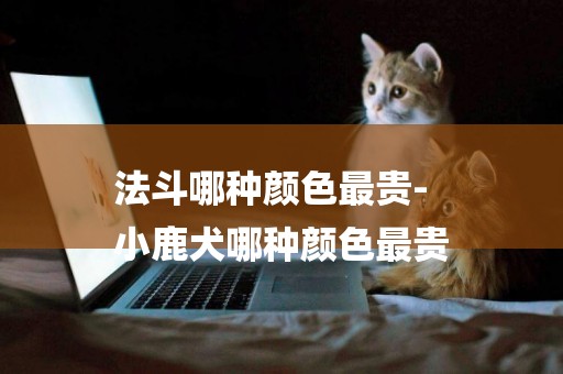 法斗哪種顏色最貴-
小鹿犬哪種顏色最貴