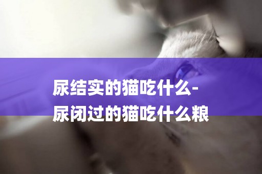 尿結實的貓吃什么-
尿閉過的貓吃什么糧