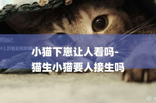小貓下崽讓人看嗎-
貓生小貓要人接生嗎