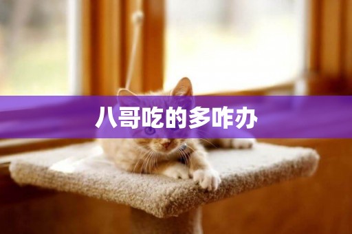 八哥吃的多咋辦