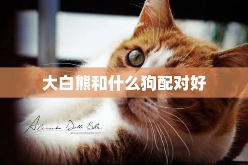 大白熊和什么狗配對好