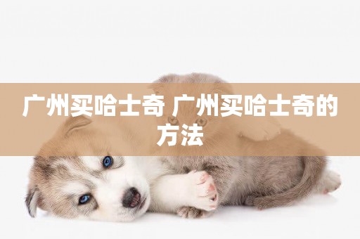 廣州買哈士奇 廣州買哈士奇的方法